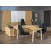 Кабинет руководителя Onix wood
