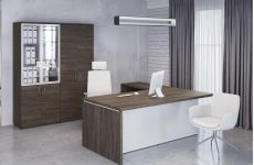 Кабинет руководителя Terra